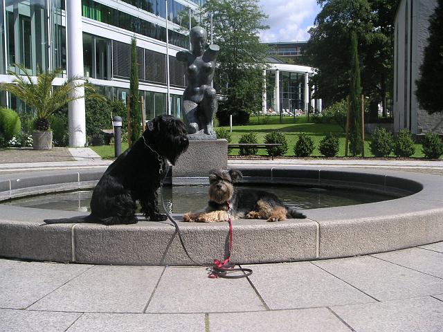 Bild 4164.jpg